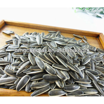 Top Quality Sunflower Seeds 909 For Human Consumption